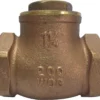 Buy 🌟 PROFLO® PFX31 4 in. Brass In-Line Swing Check Valve (FIP Connection) ❤️ -Fire Safety Pro Store Query 127