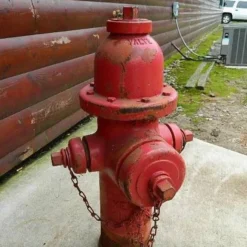 Fire Safety Pro Store -Fire Safety Pro Store Query 674